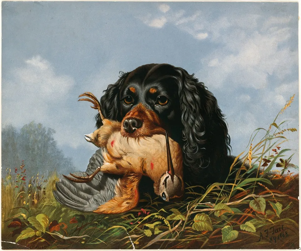 Spaniel And Woodcock