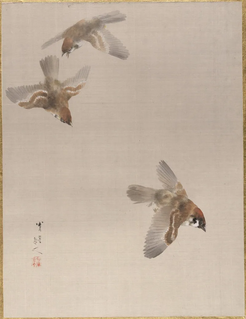 Sparrows Flying by Watanabe Seitei - Canvas Print