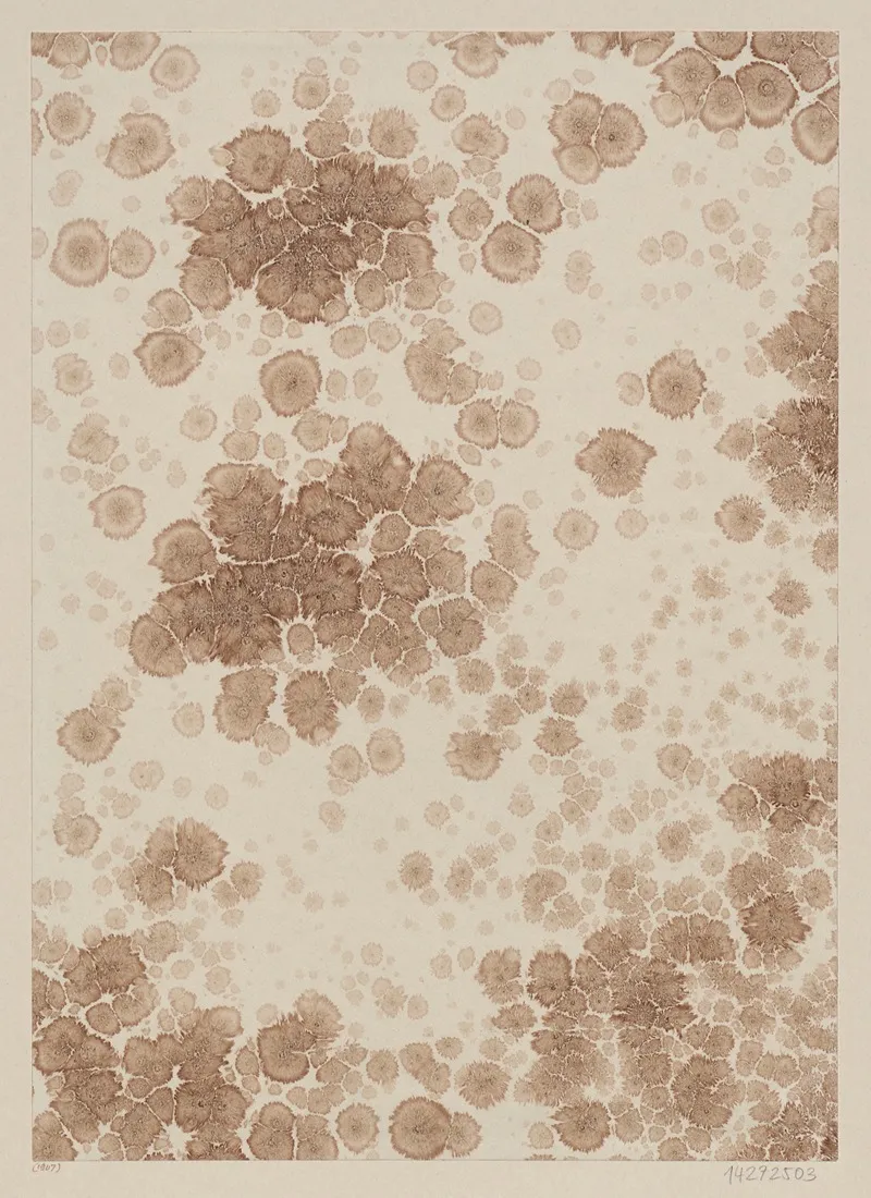 Sprenkelpapier 13 by F. Svoboda - Canvas Print