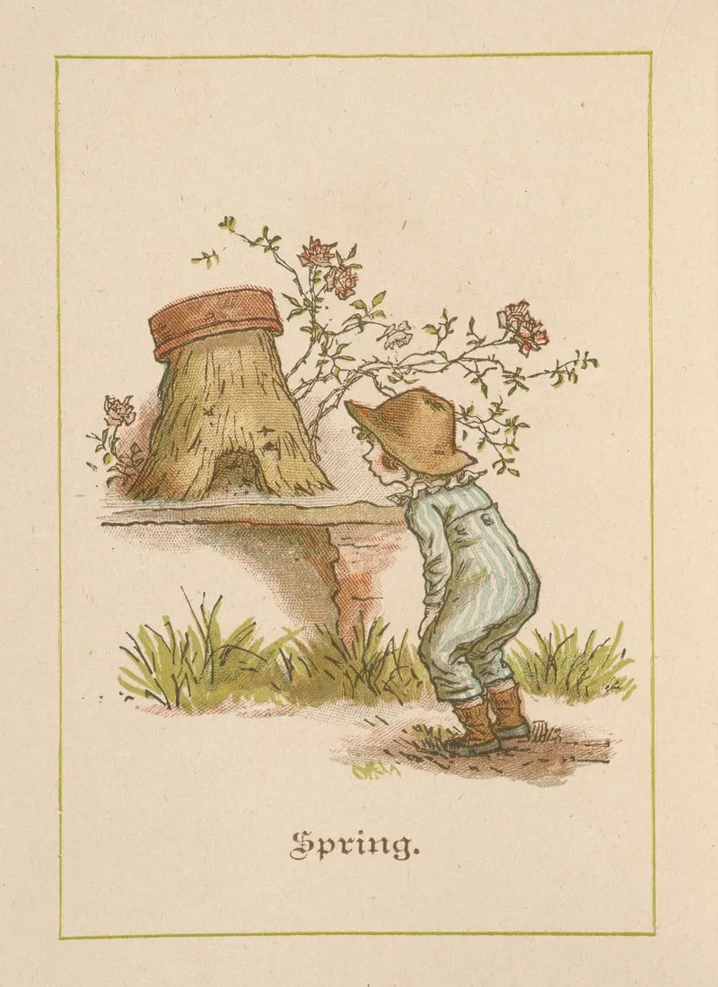 Spring 80