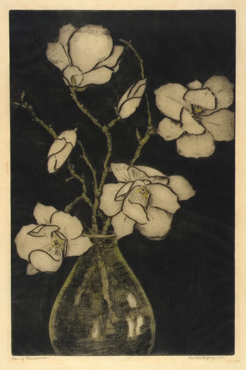 Spring Blossoms Tree Magnolia