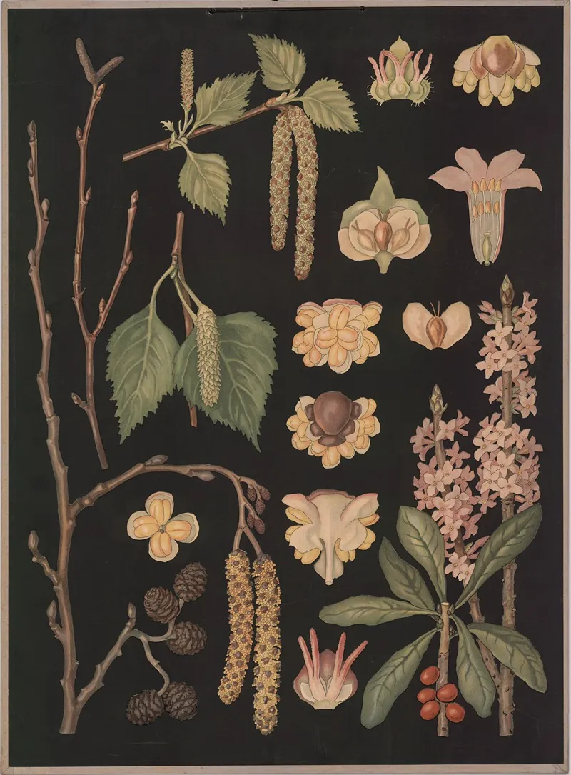 Spring Flowering Trees And Shrubs by Ebba Masalin - Canvas Print