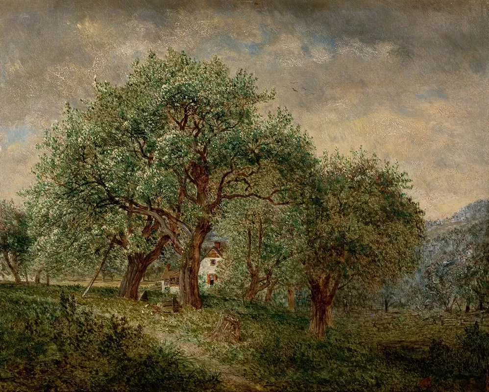 Spring Time 2 by David Johnson - Canvas Print