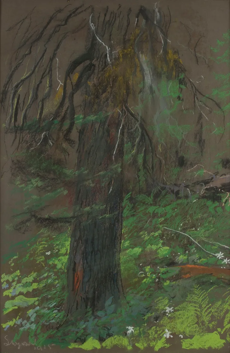 Spruce 2 by Leon Wyczółkowski - Canvas Print