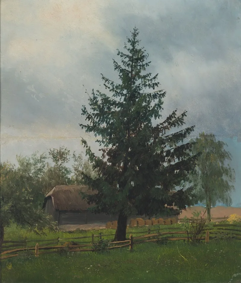 Spruce