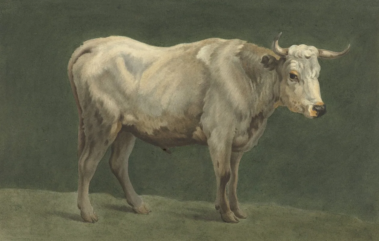 Staande Stier Naar Rechts