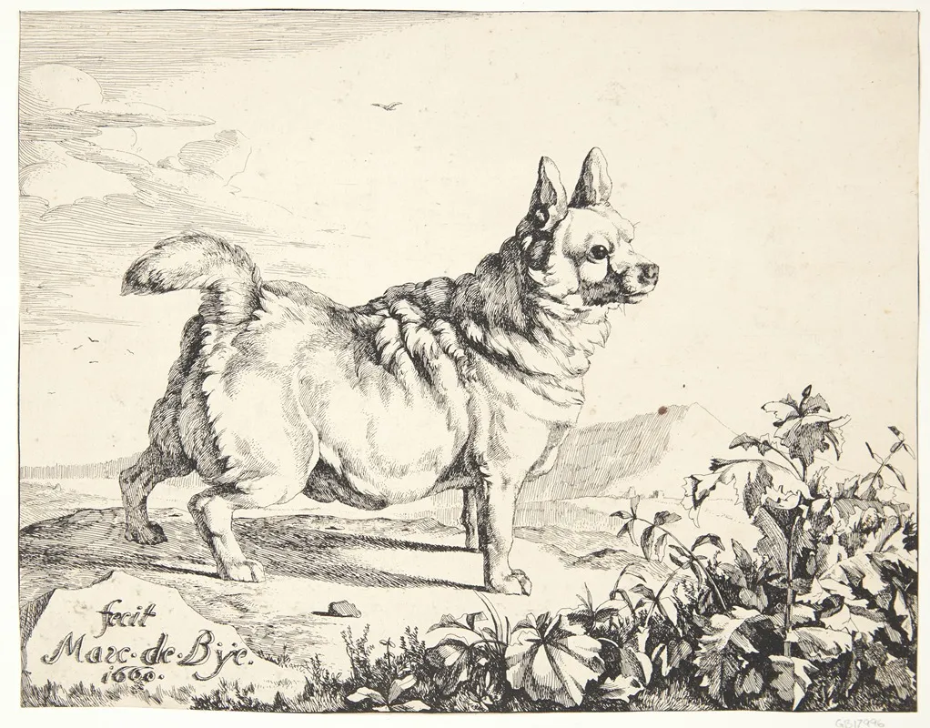 Staende Hund Gadekryds by Marcus de Bye - Canvas Print