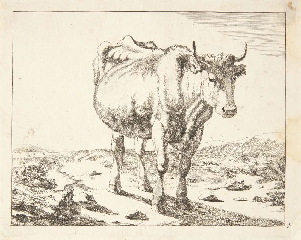 Staende Ko Set Forfra by Marcus de Bye - Canvas Print