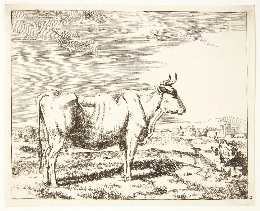 Staende Ko Vendt Mod Hojre