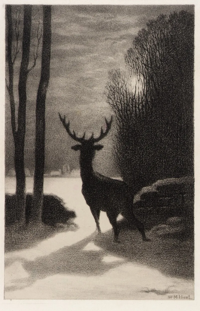 Stag In The Moonlight by William Morris Hunt - Canvas Print