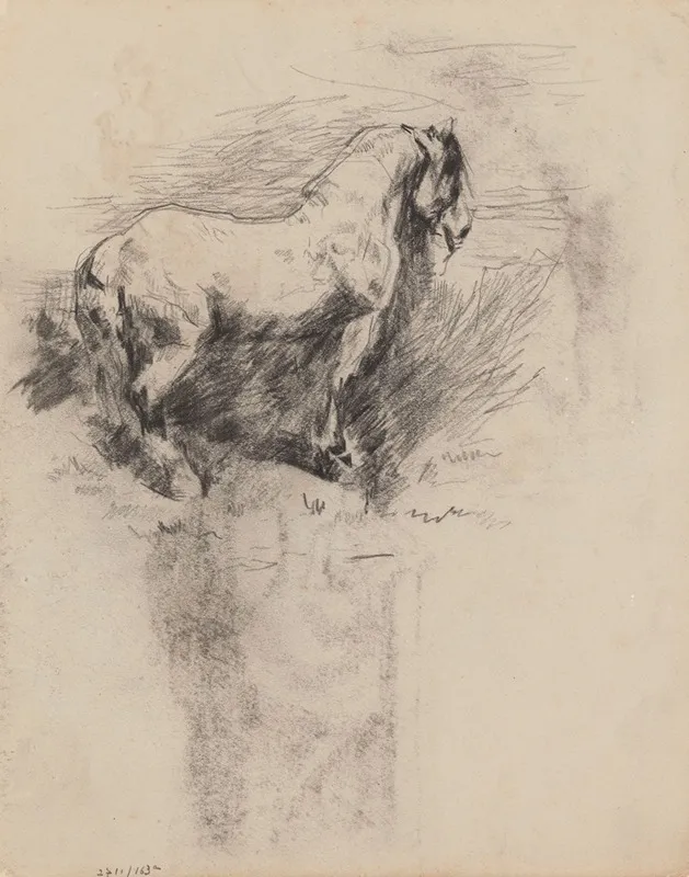 Stallion 2 by James Ensor - Canvas Print