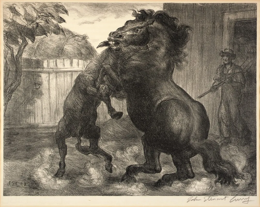 Stallion And Jack Fighting