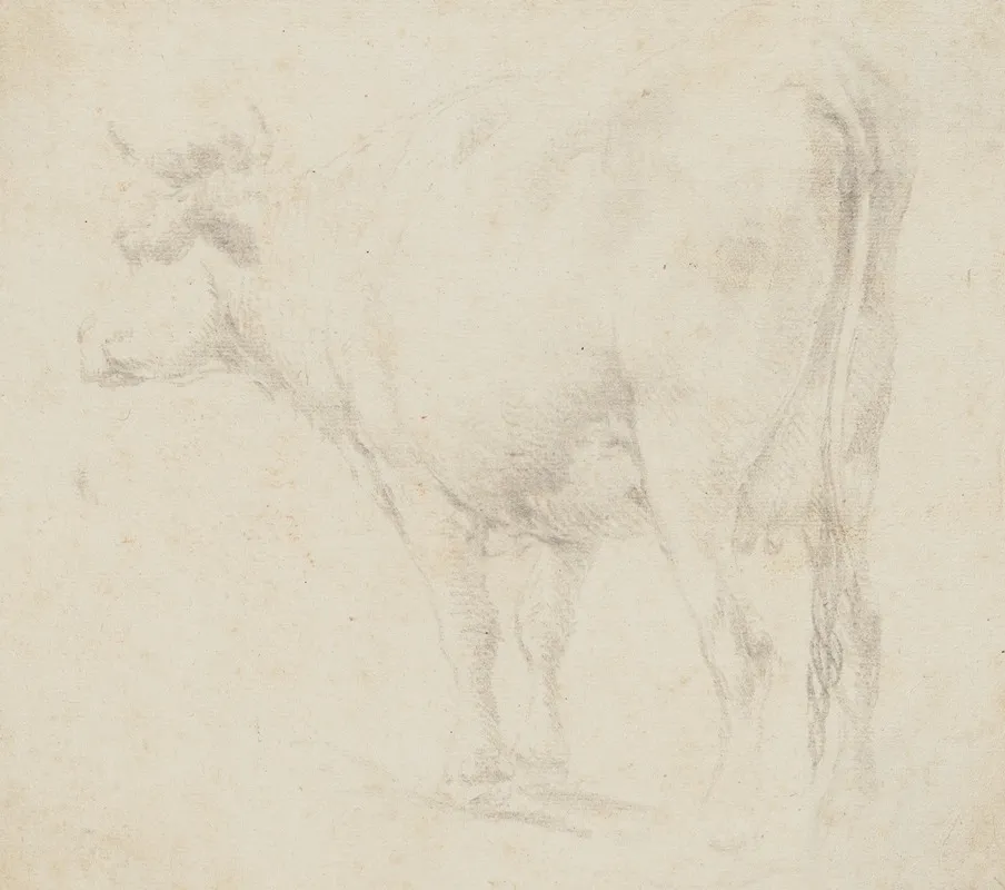 Standing Cow To The Left