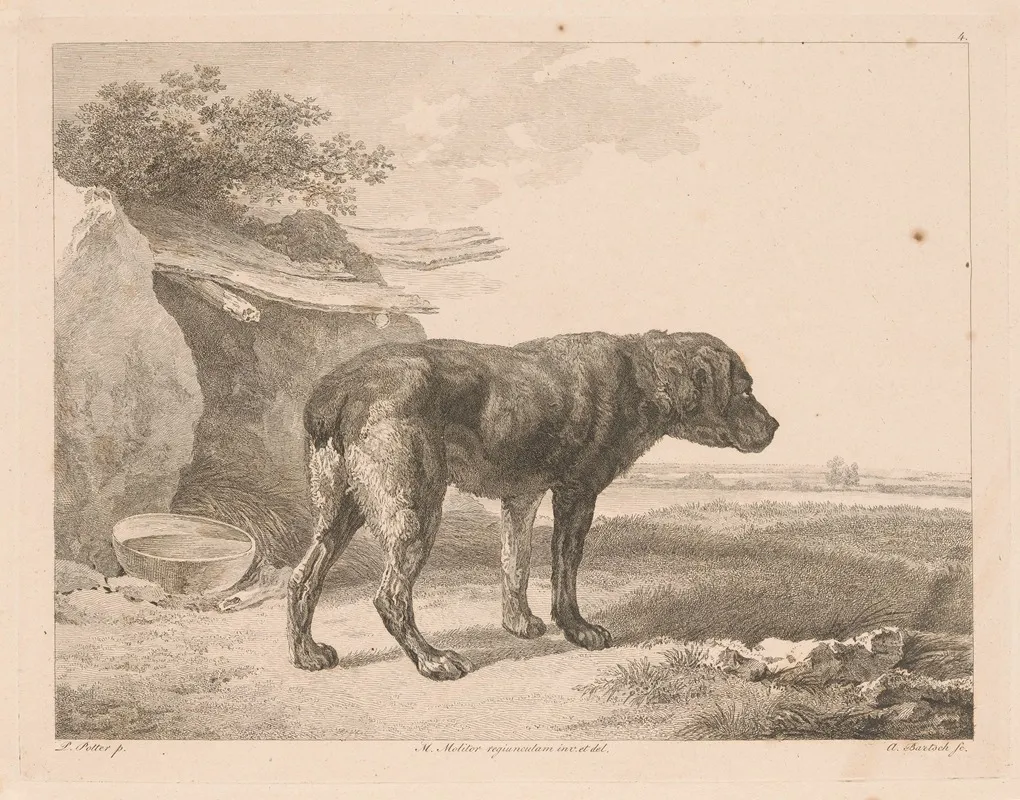Standing Dog In A Landscape