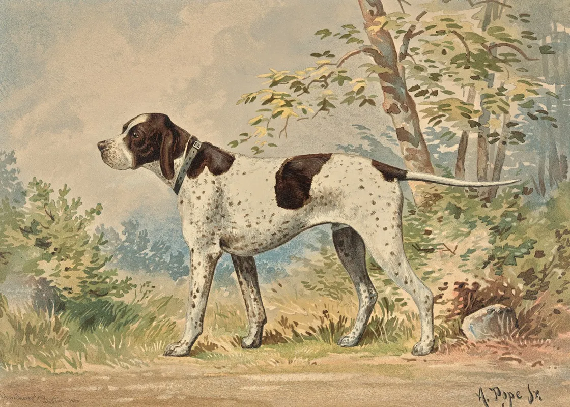 Standing English Pointer Facing Left