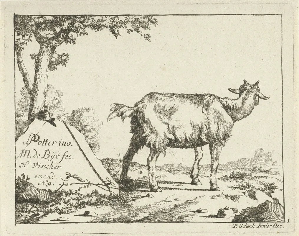 Standing Goat Seen From Behind by Marcus de Bye - Canvas Print