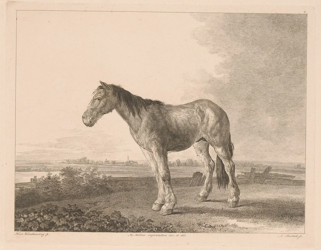 Standing Horse In A River Landscape
