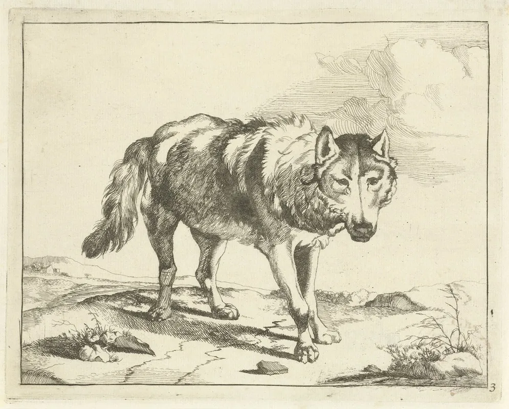 Standing Wolf Seen From The Front by Marcus de Bye - Canvas Print