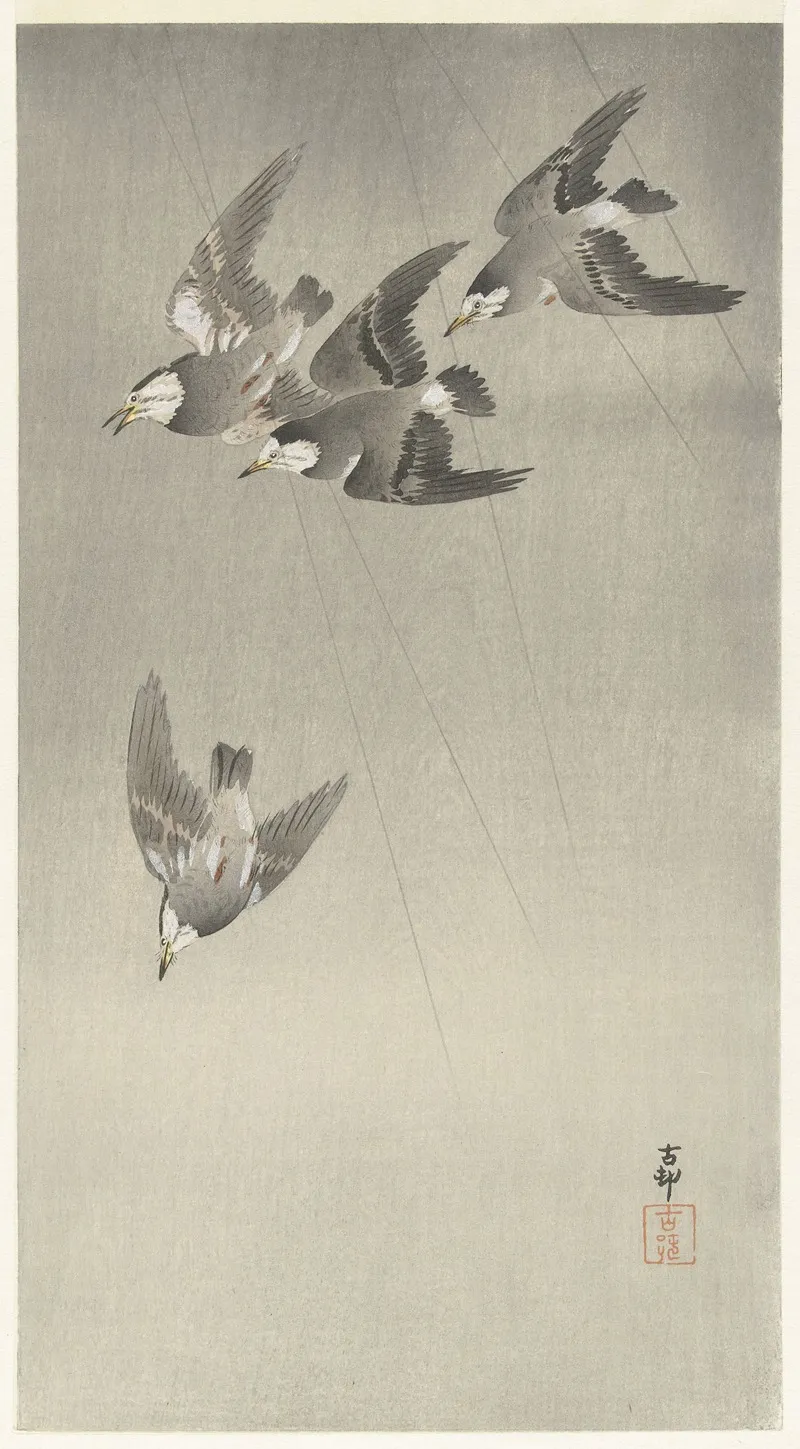Starlings In The Rain by Ohara Koson - Canvas Print
