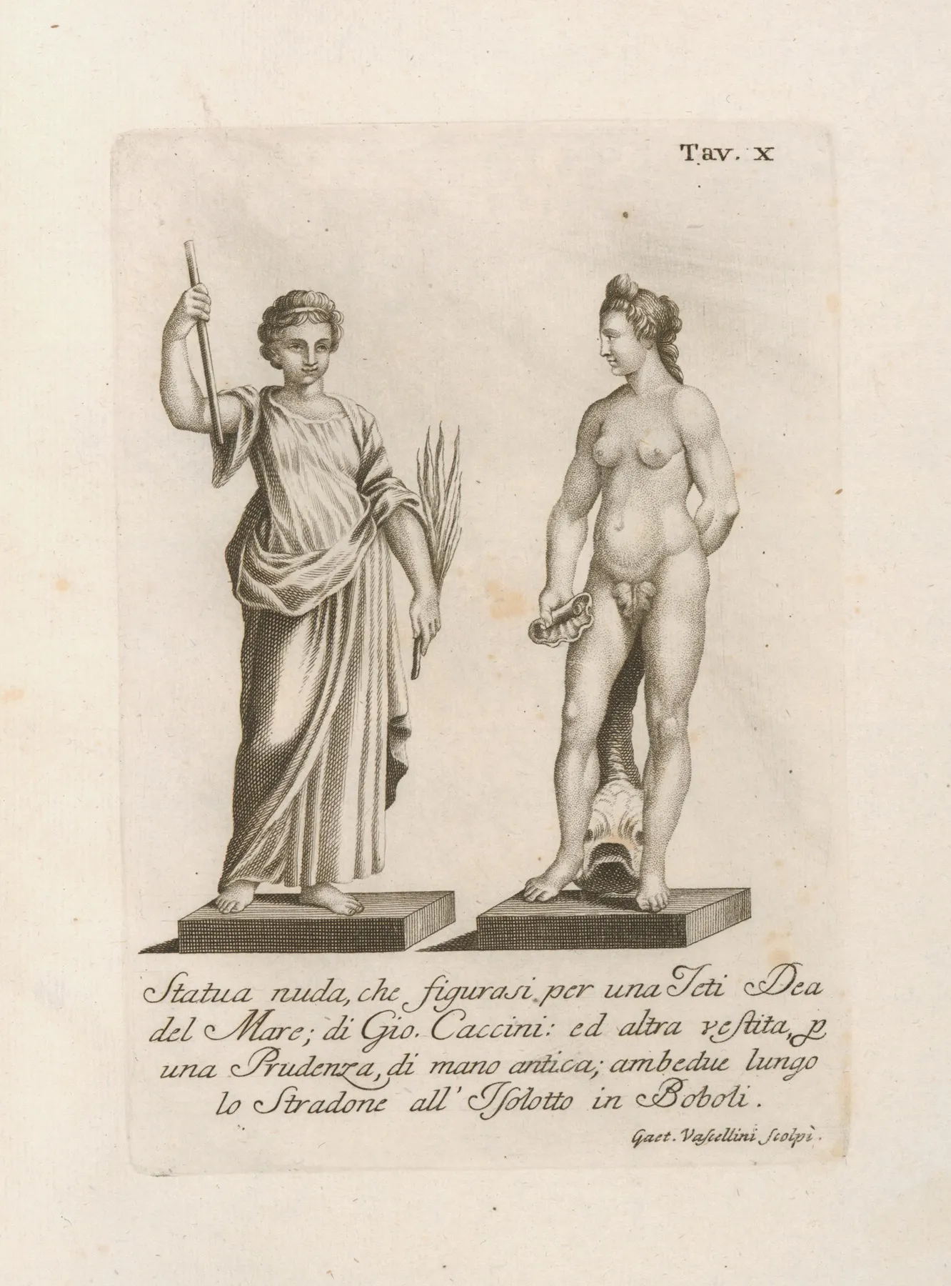 Statua Nuda Che Figurasi Per Una Teti Dea Del Mare Di Gio Caccini by Gaetano Vascellini - Canvas Print