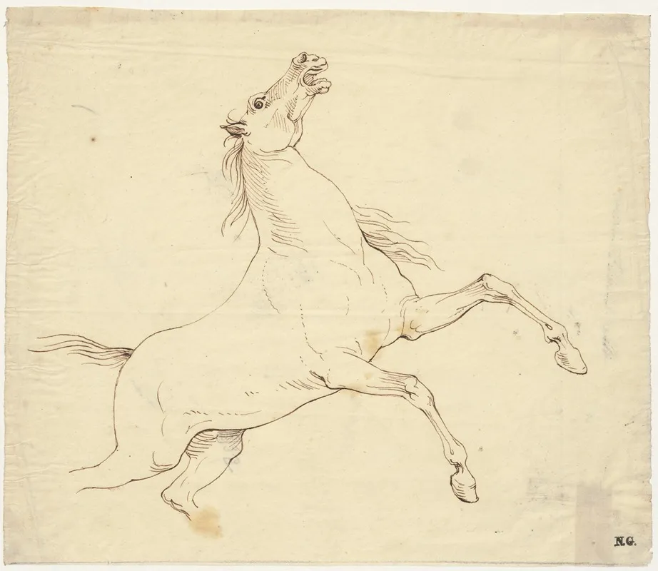 Steigerend Paard Doortrek by David Humbert de Superville - Canvas Print