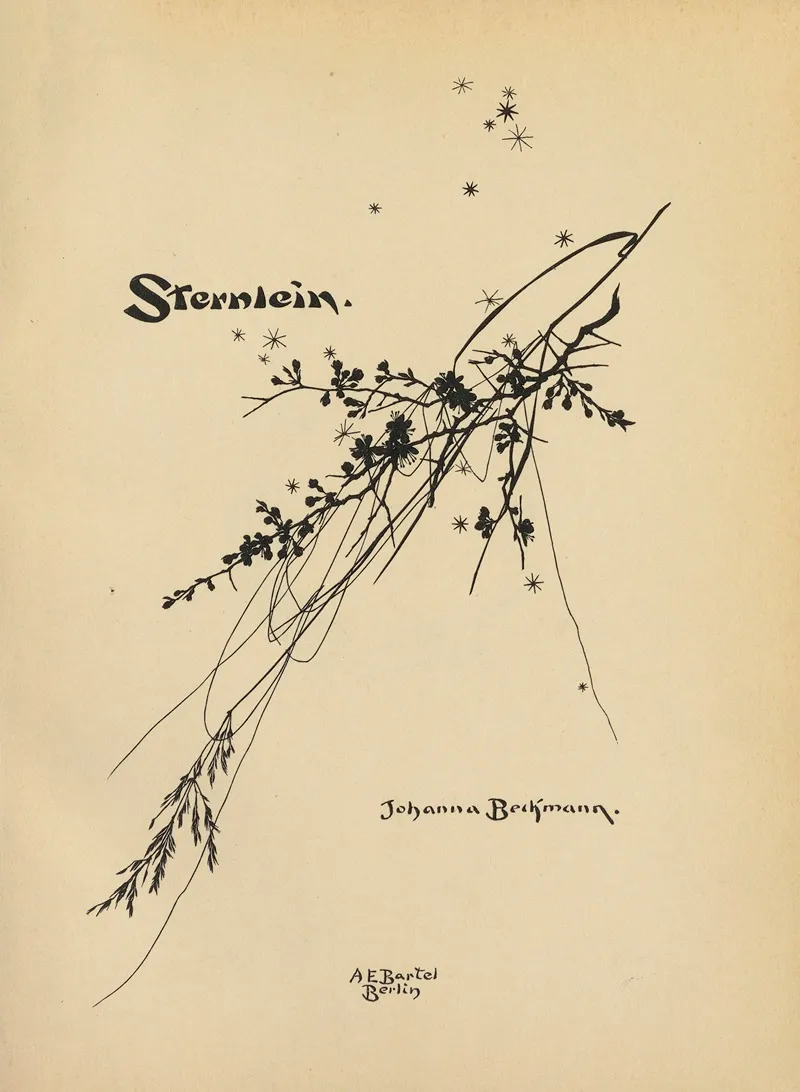 Sternlein Pl 01