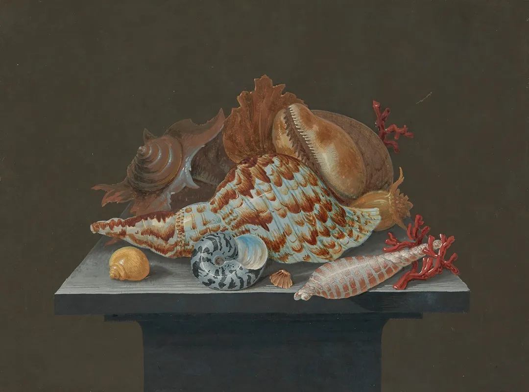Still Life With Shells 2