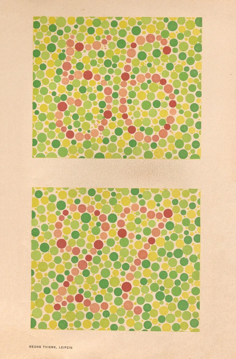 Stillings Pseudo Isochromatic Plates For Testing Color Perception Pl 04 by Jakob Stilling - Canvas Print