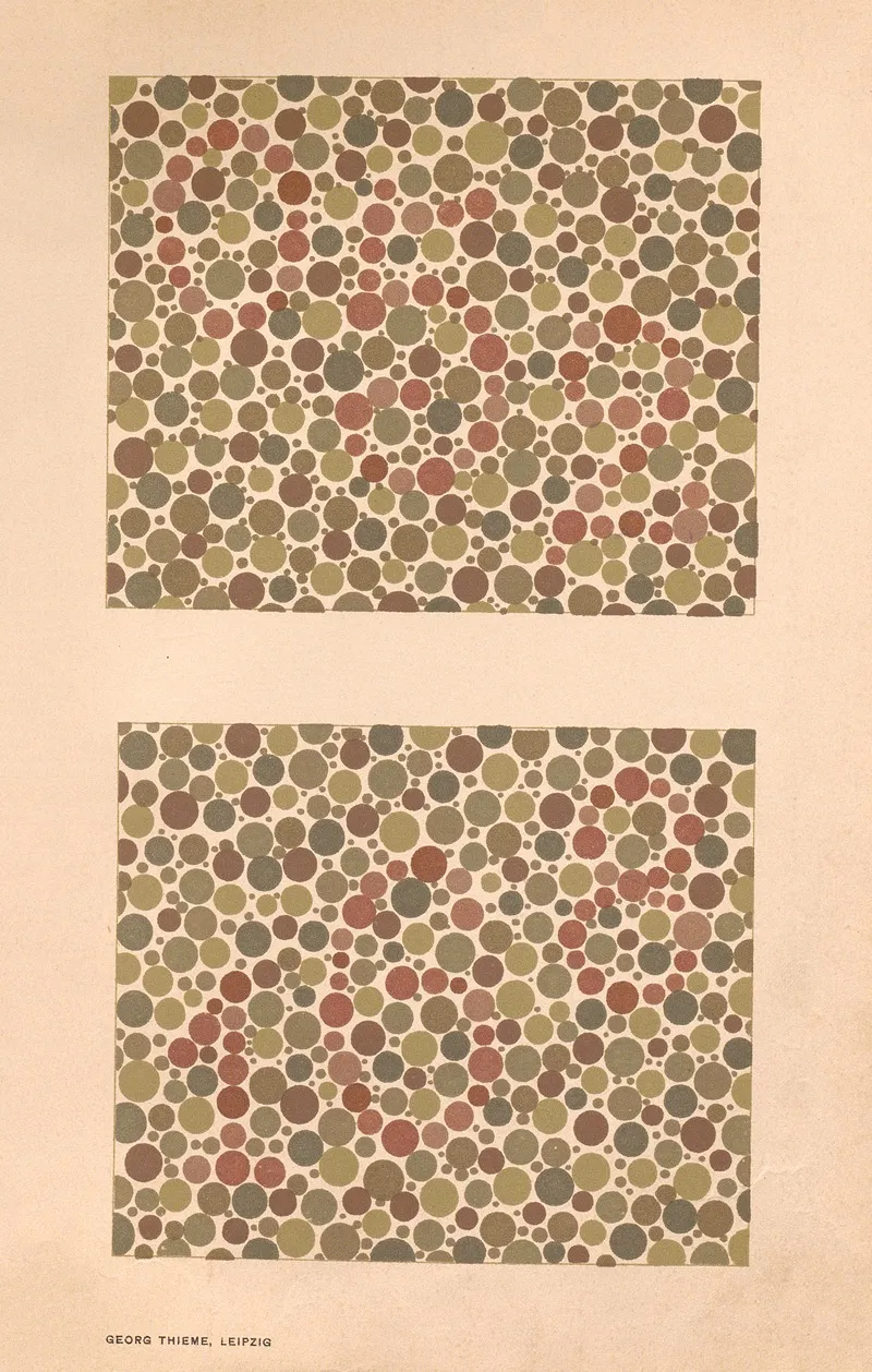 Stillings Pseudo Isochromatic Plates For Testing Color Perception Pl 16 by Jakob Stilling - Canvas Print