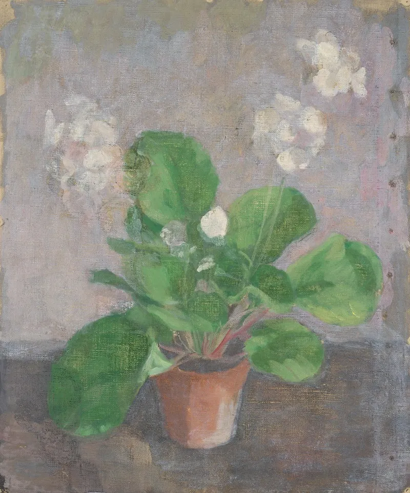 Stillleben Mit Blumentopf