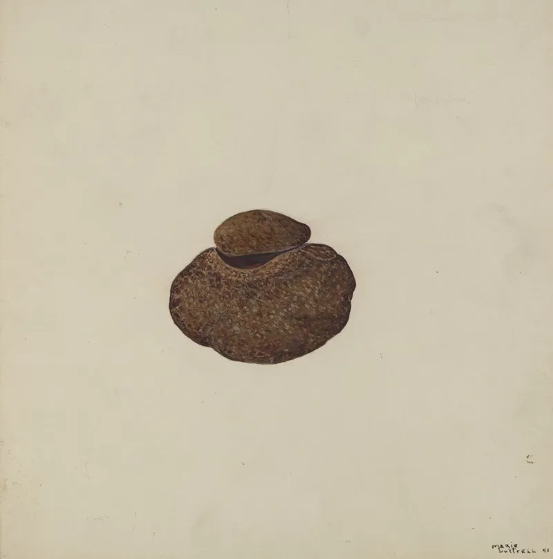 Stone Carved Out To Hold War Paint
