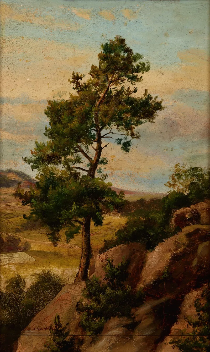 Stone Pine by Henryk Grabiński - Canvas Print