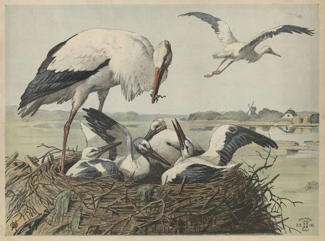 Stork 2