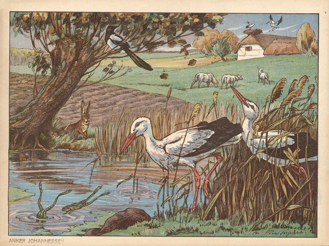 Stork Stork Langeben