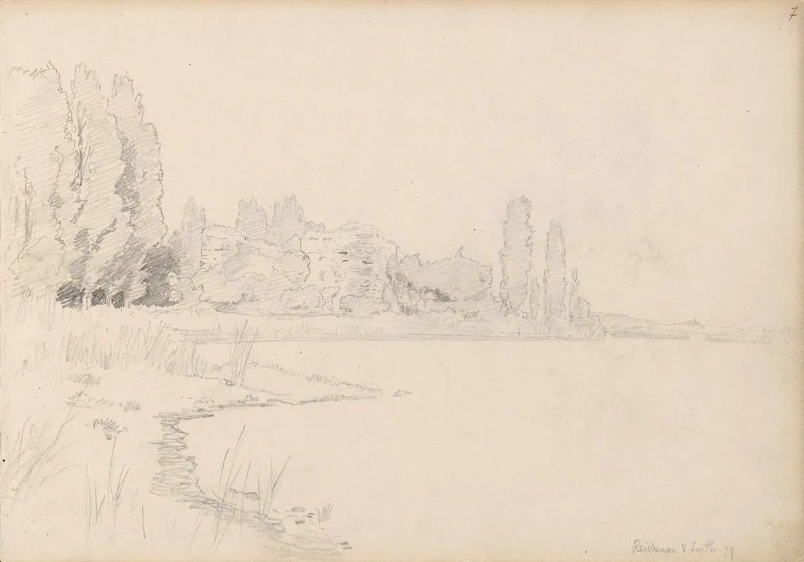 Strand Med Popler Reichenau by Hans Gude - Canvas Print