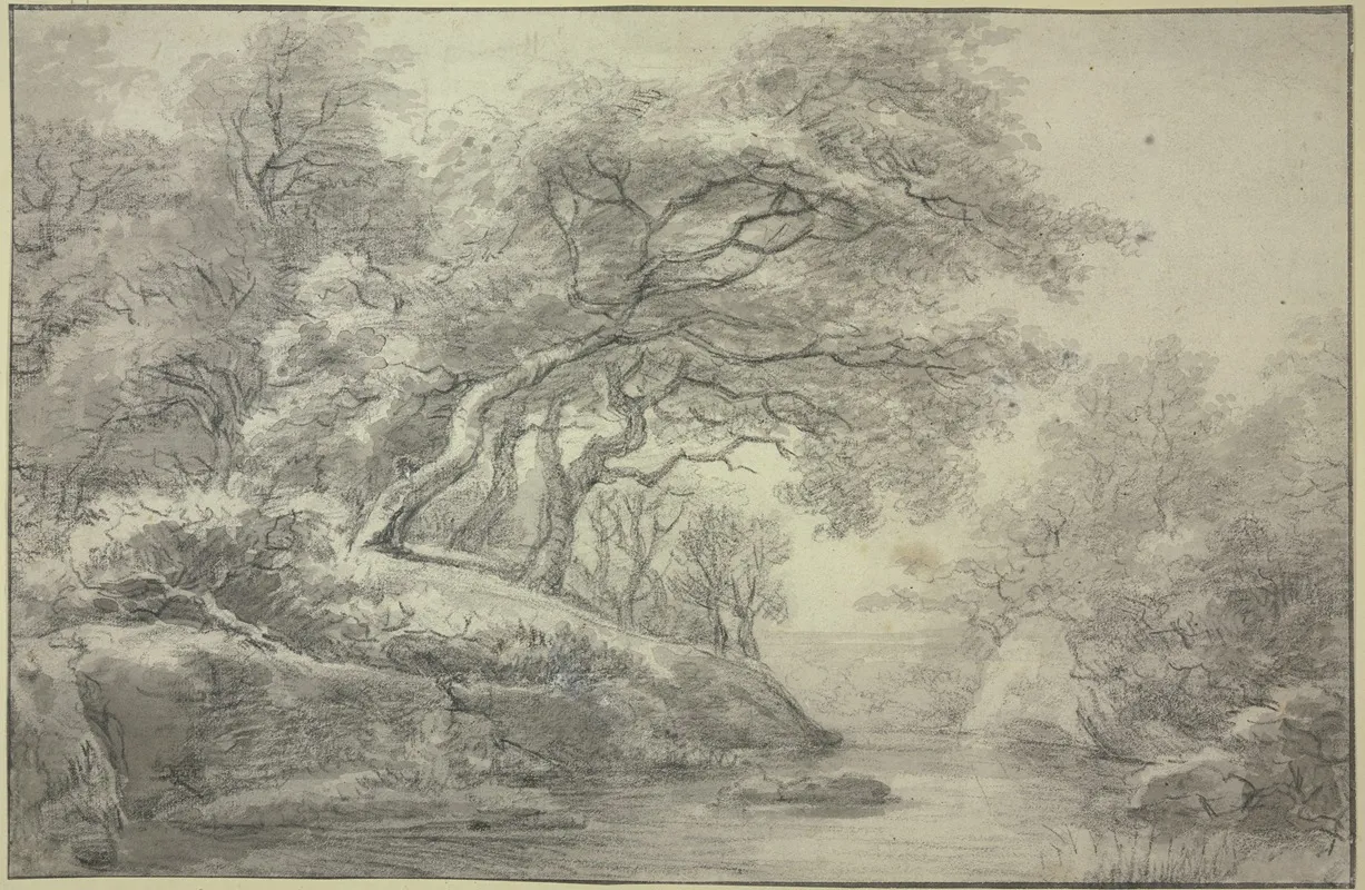 Stream At The Edge Of The Forest