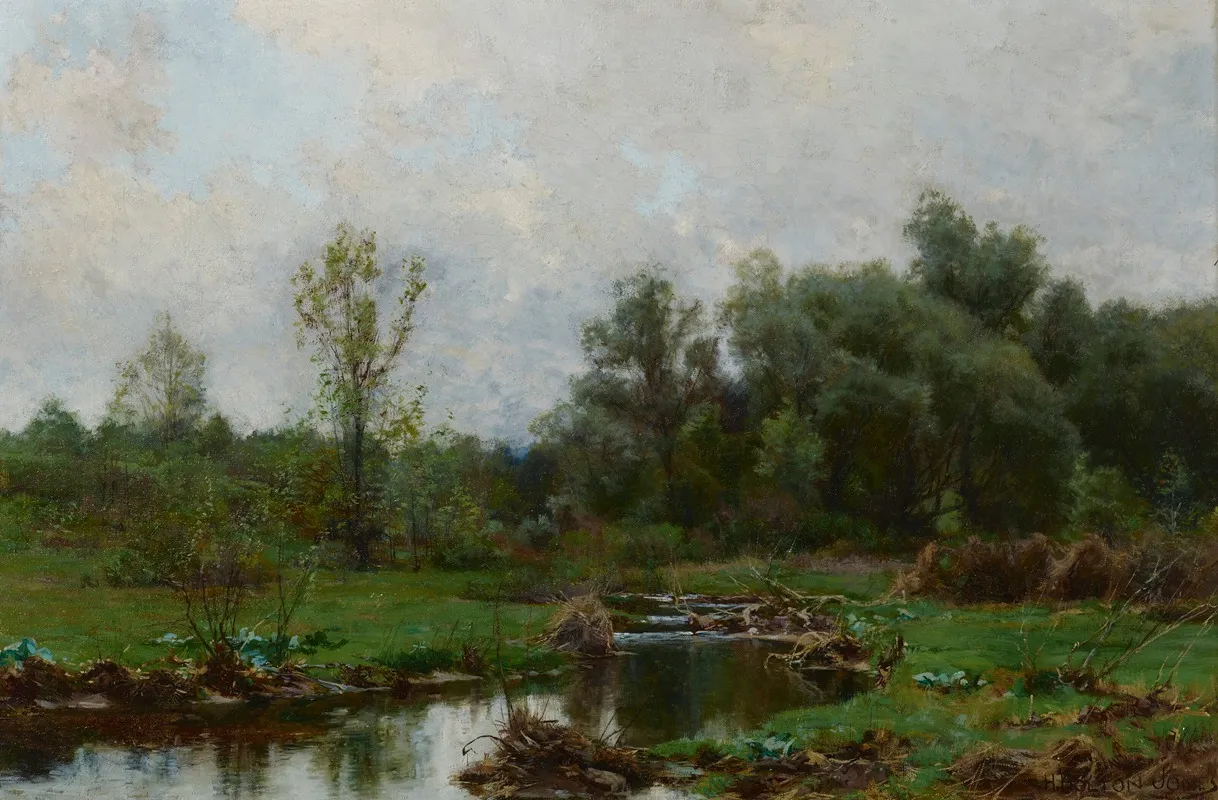 Stream Bed