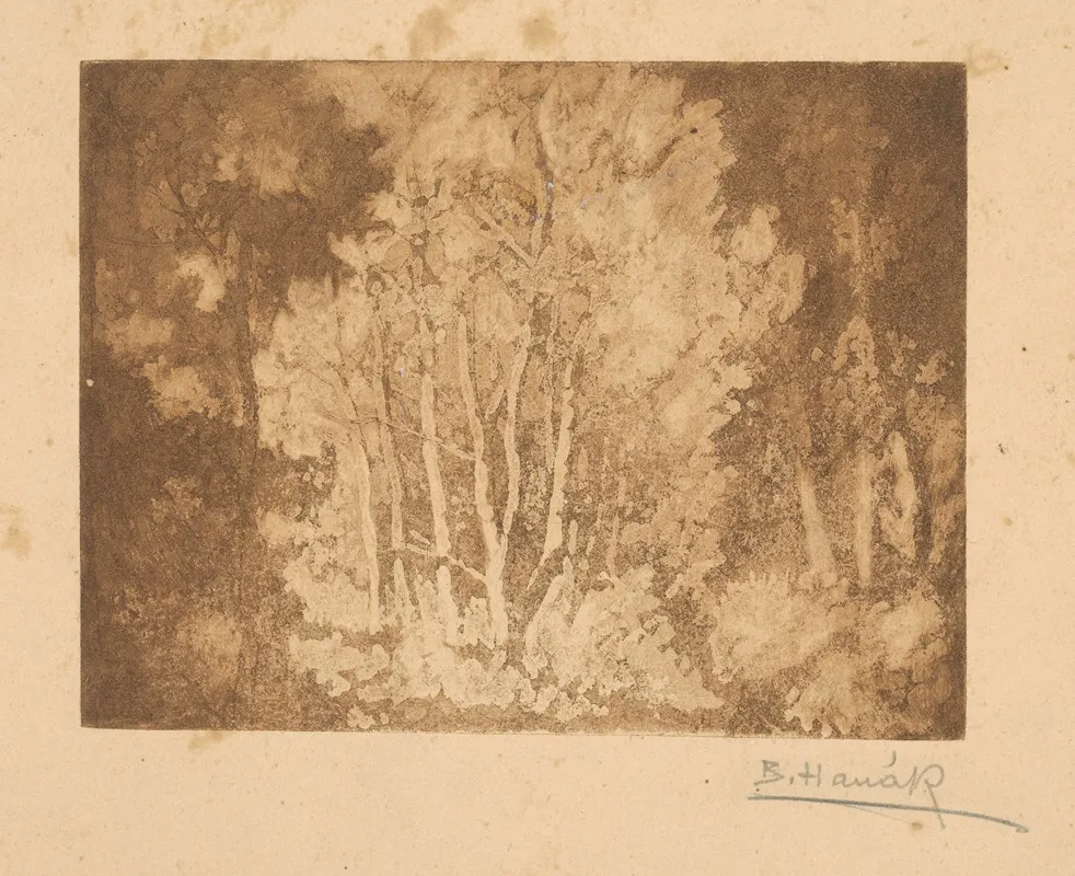 Stromy by Bohumil Hanák - Canvas Print