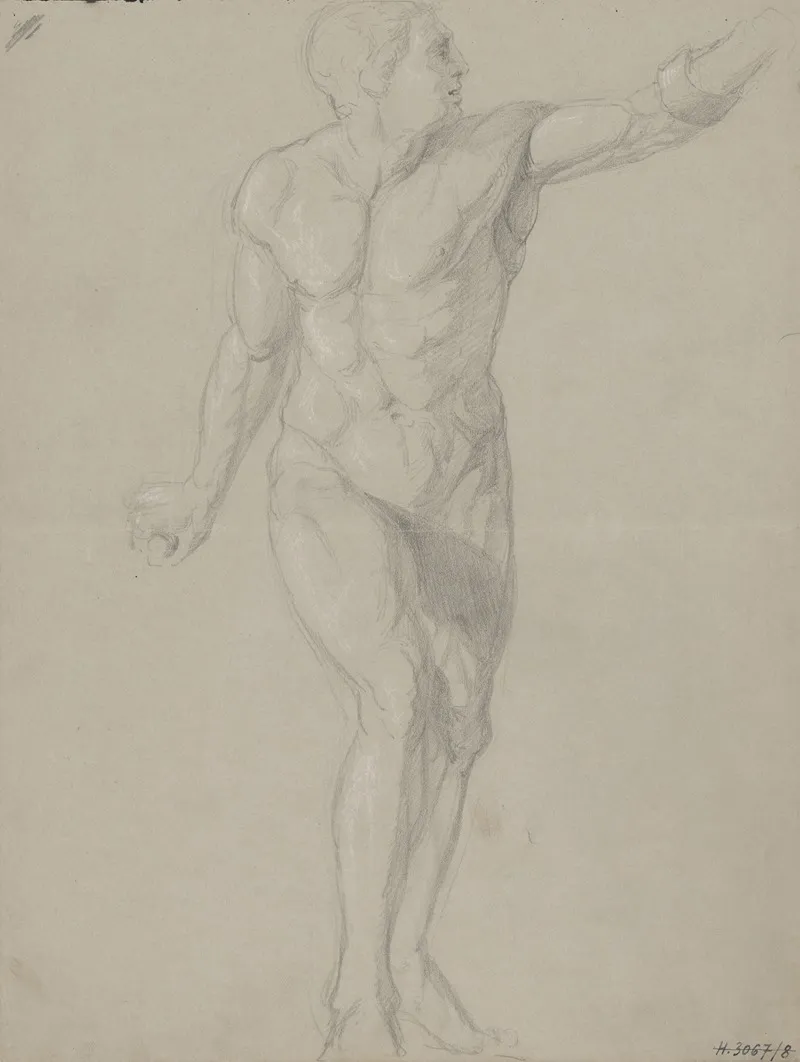 Studia Muzskeho Aktu