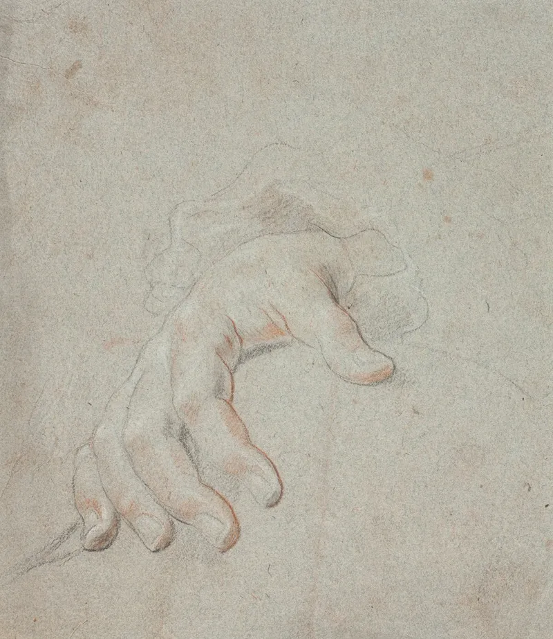 Studie Af En Hand