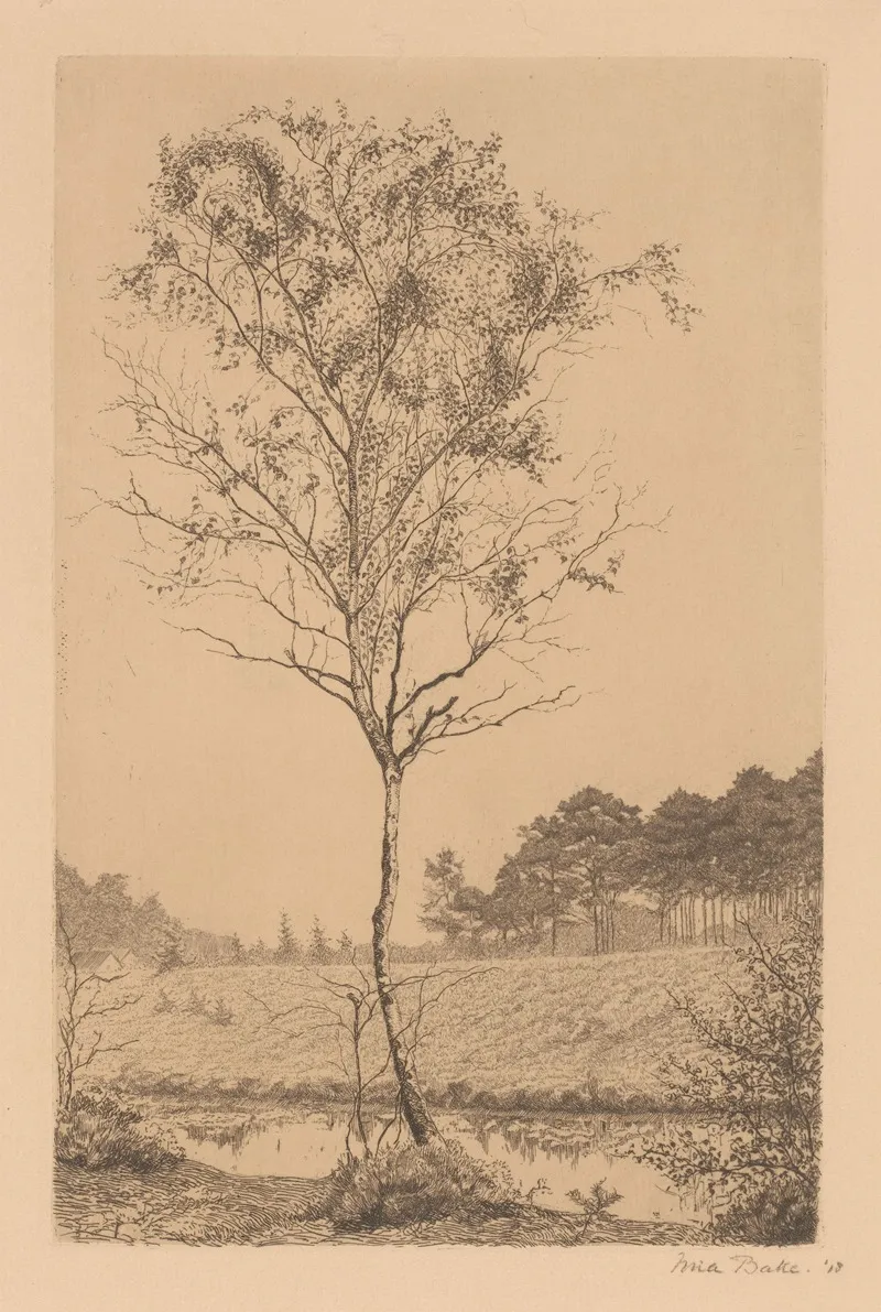 Studie Van Een Berk by Mia Bake - Canvas Print