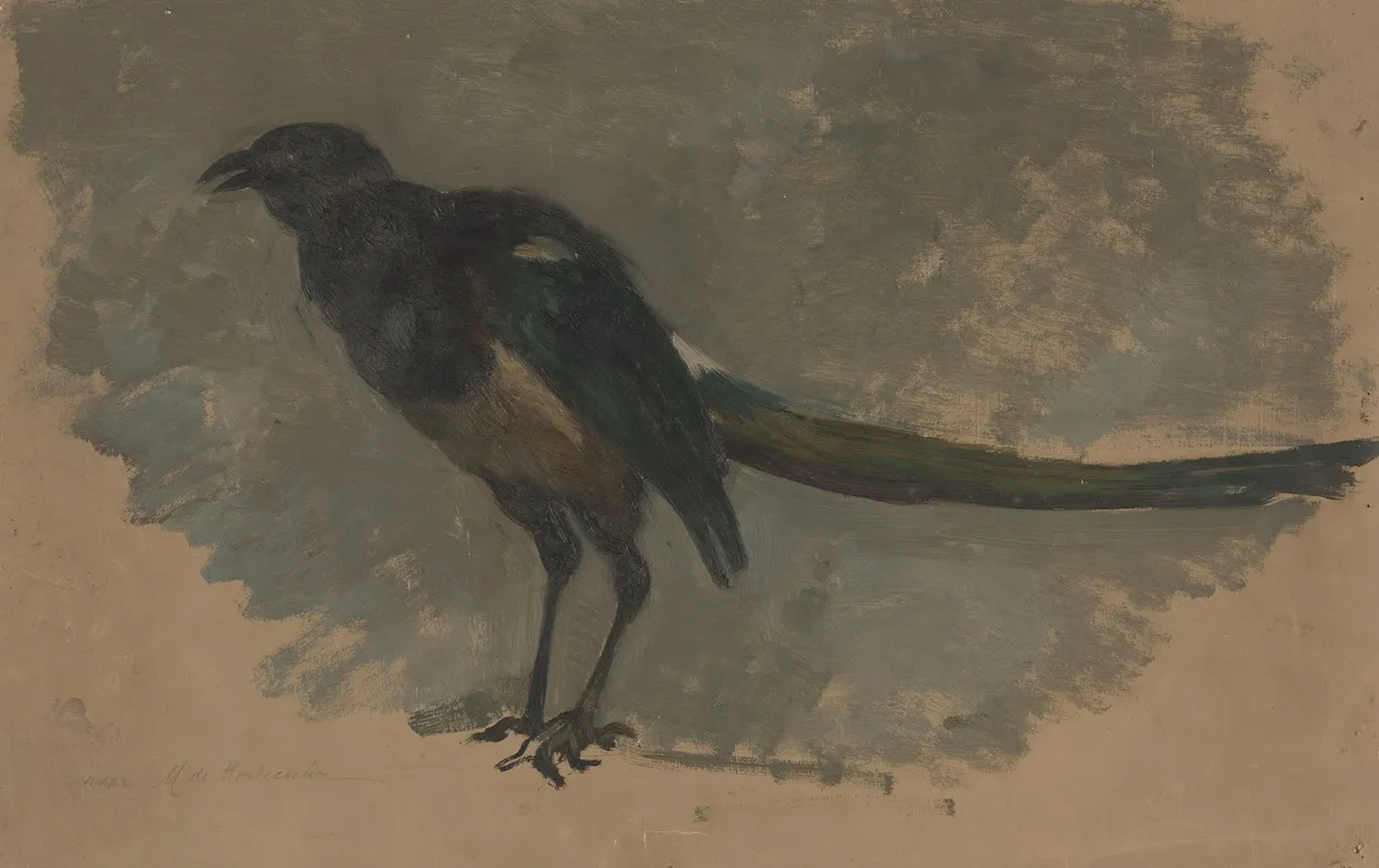 Studie Van Een Ekster