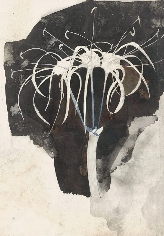 Studie Van Kamperfoelie