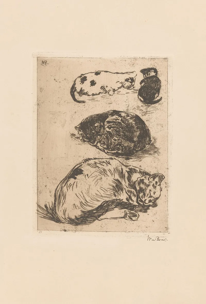 Studie Van Katten