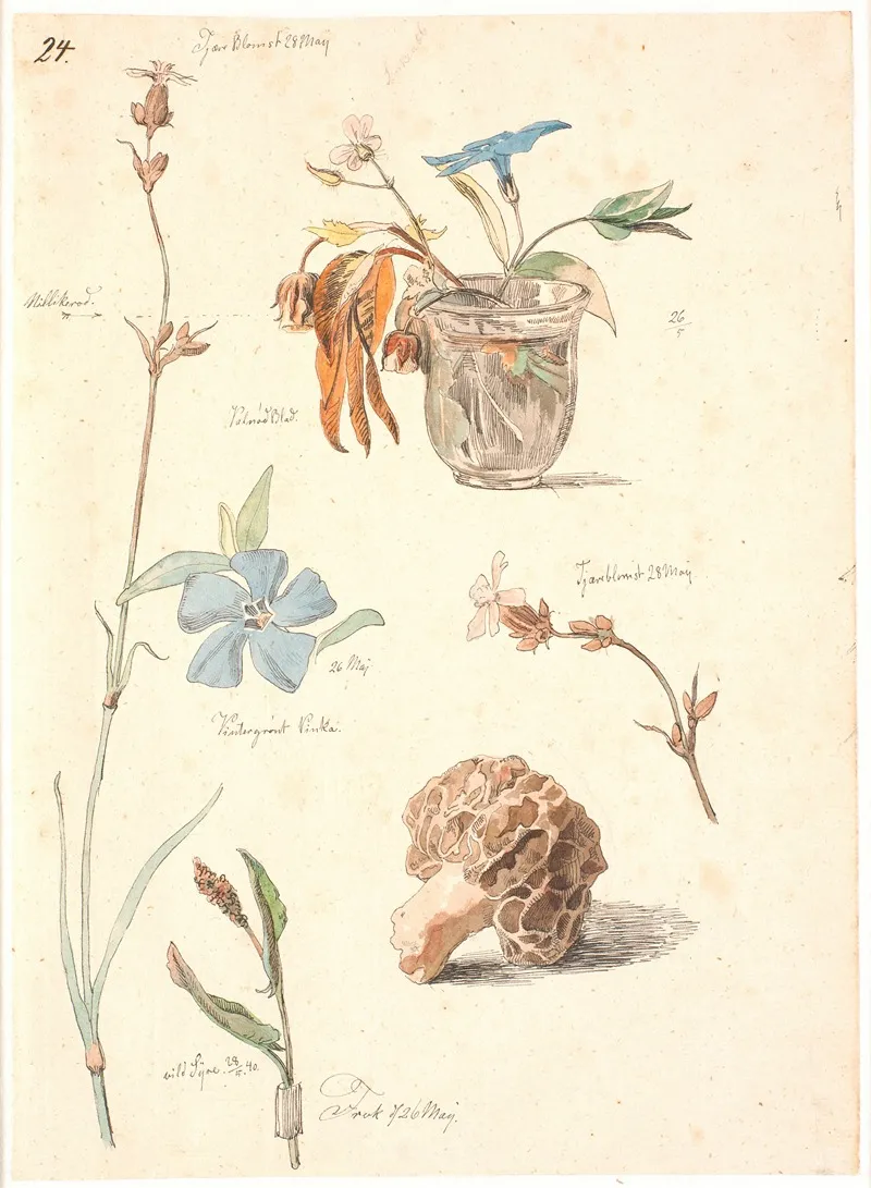 Studieblad Med Blomster Og Planter by Johan Thomas Lundbye - Canvas Print