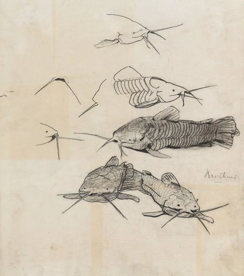 Studieblad Met Meervallen
