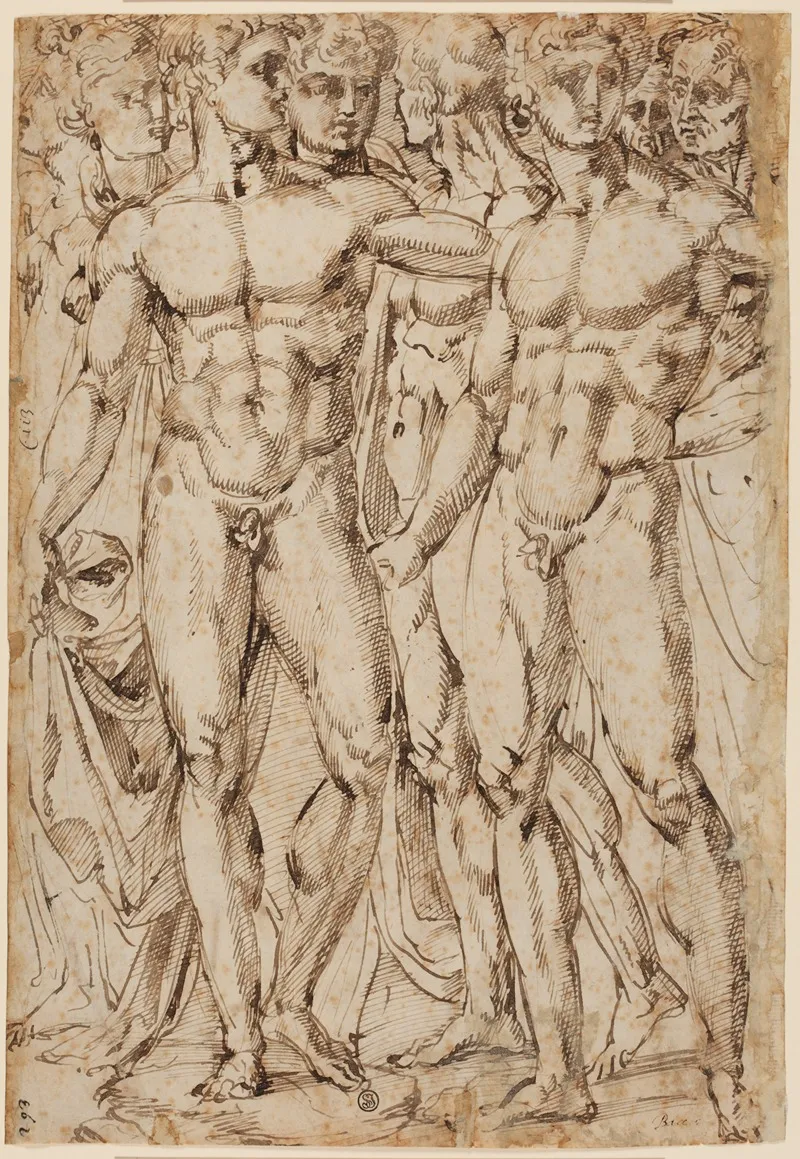 Studien Nach Mannlichen Und Weiblichen Aktfiguren by Baccio Bandinelli - Canvas Print