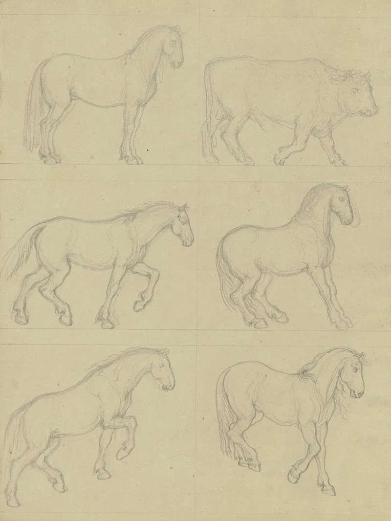 Studienblatt Funf Pferde Und Ein Rind by Ferdinand Fellner - Canvas Print