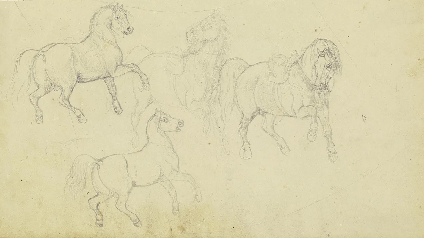 Studienblatt Pferde Teils Gesattelt