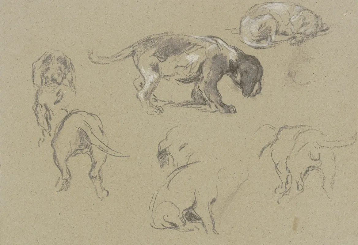 Studienblatt Sieben Junge Dackel by Anton Burger - Canvas Print